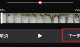怎么拍视频,如何拍摄高质量视频教程